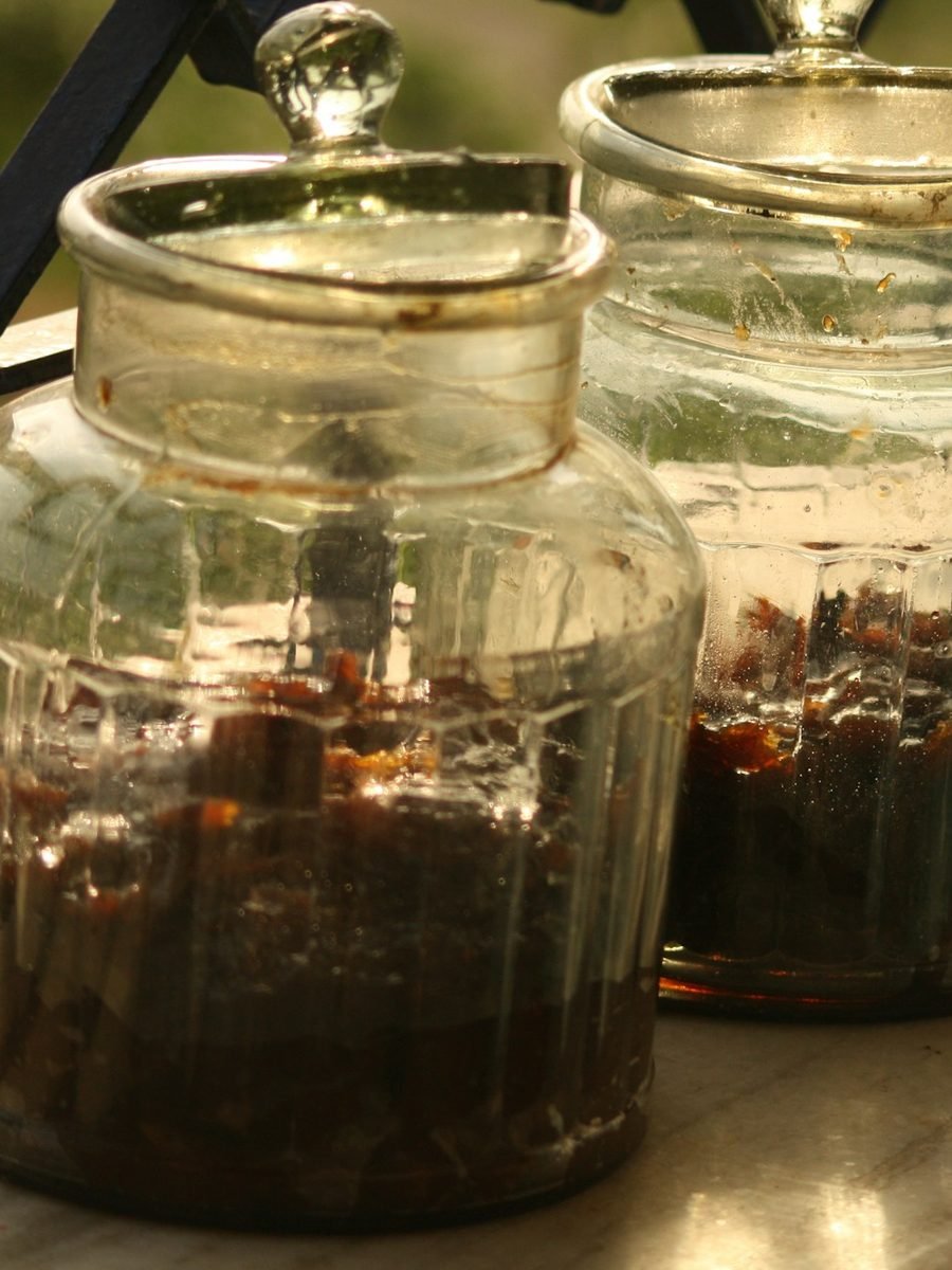 Glass jars of sun-cured pickle steeping in golden oil